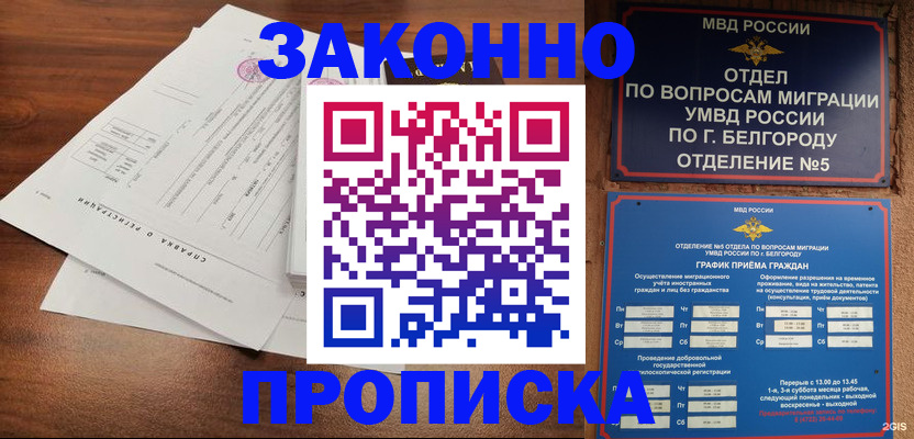 прописка в Плавске